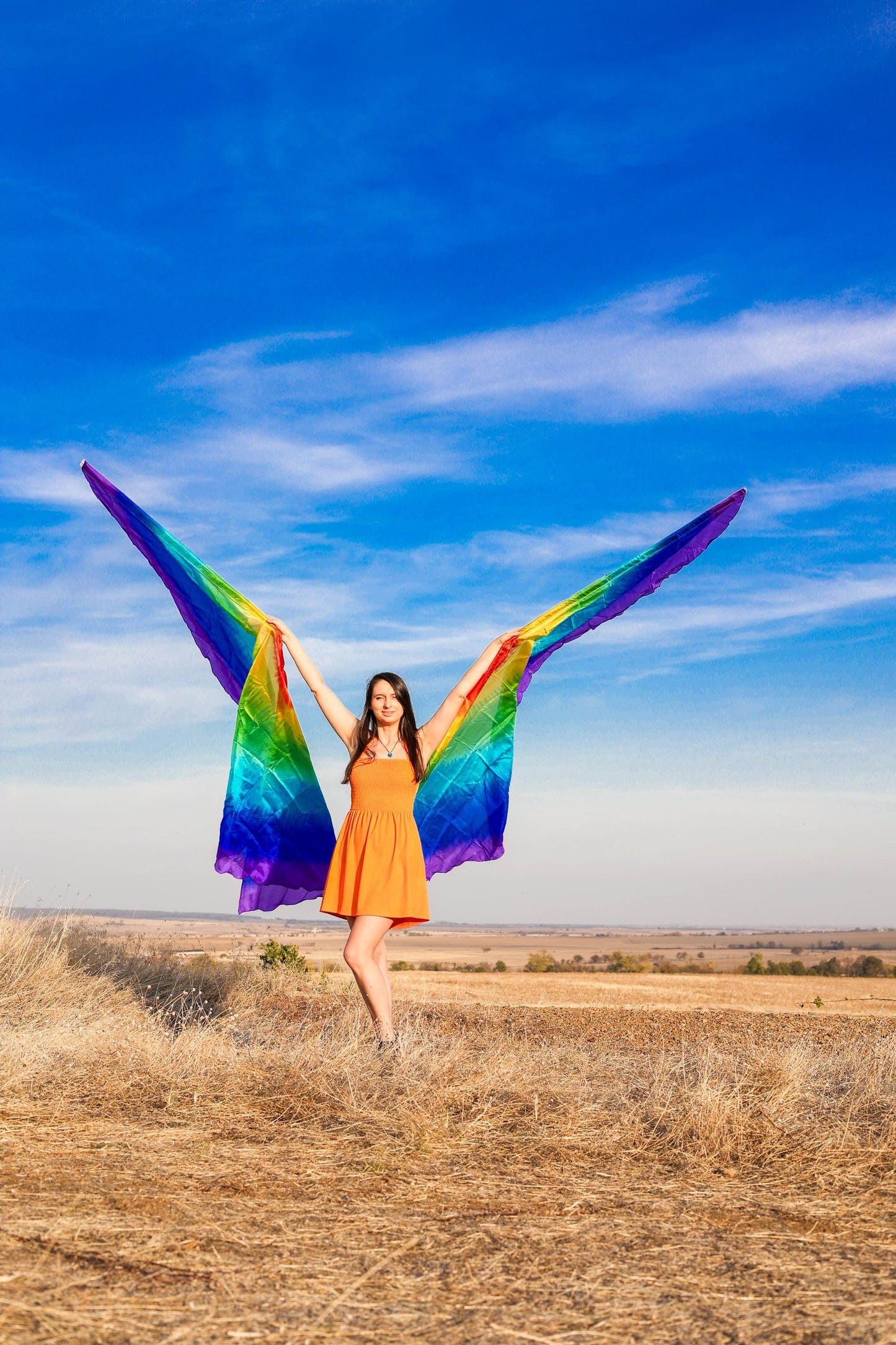 Pair Gigant Silk Wing Flag half circle