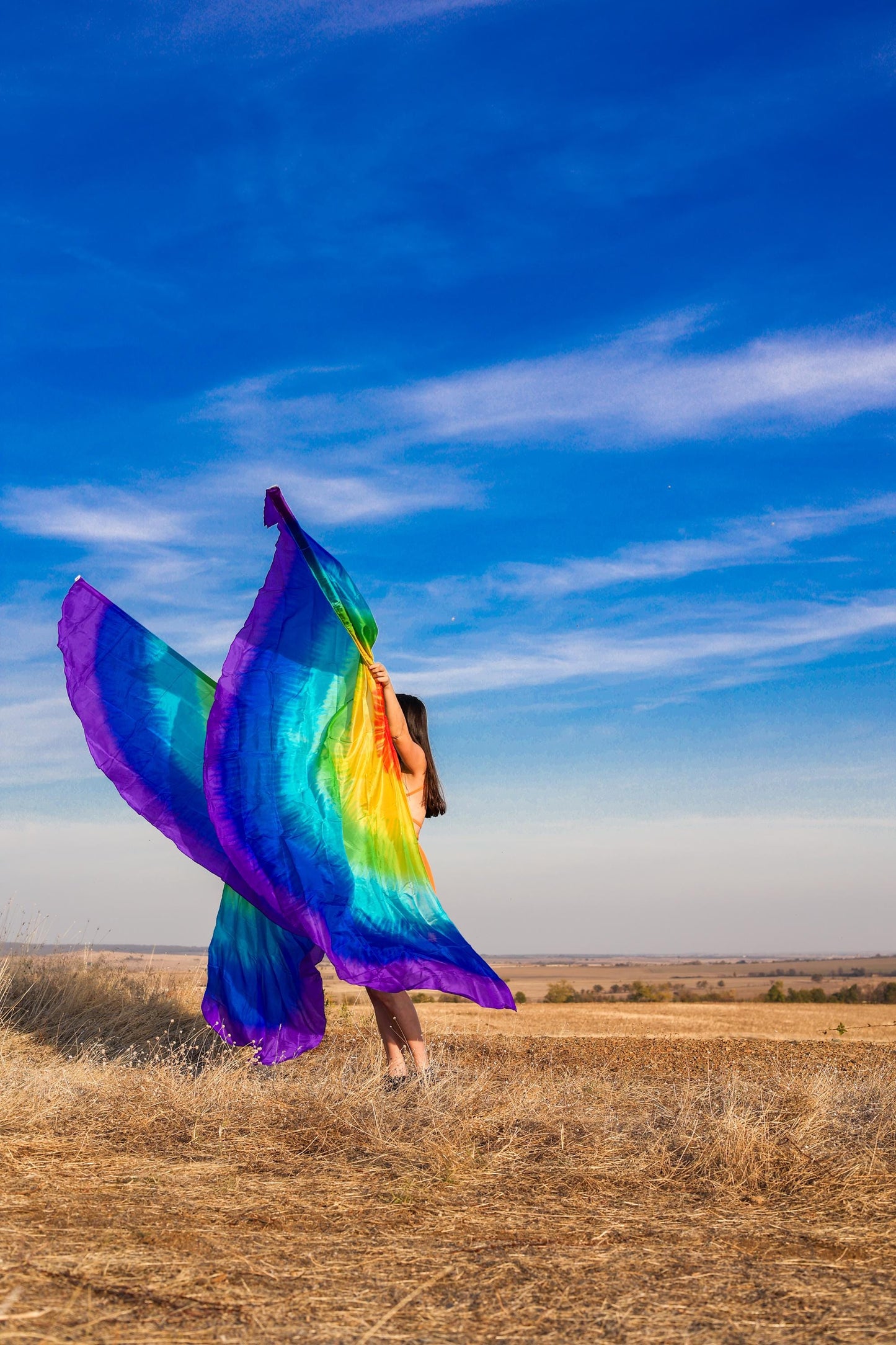 Pair Gigant Silk Wing Flag half circle