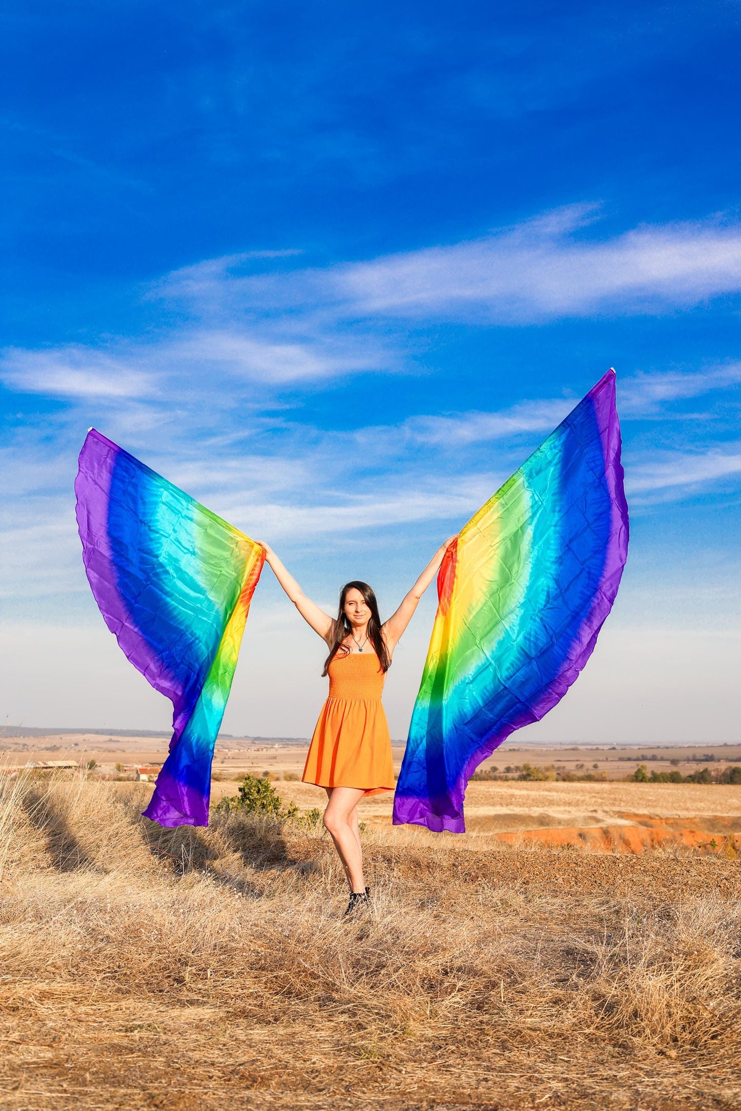 Pair Gigant Silk Wing Flag half circle