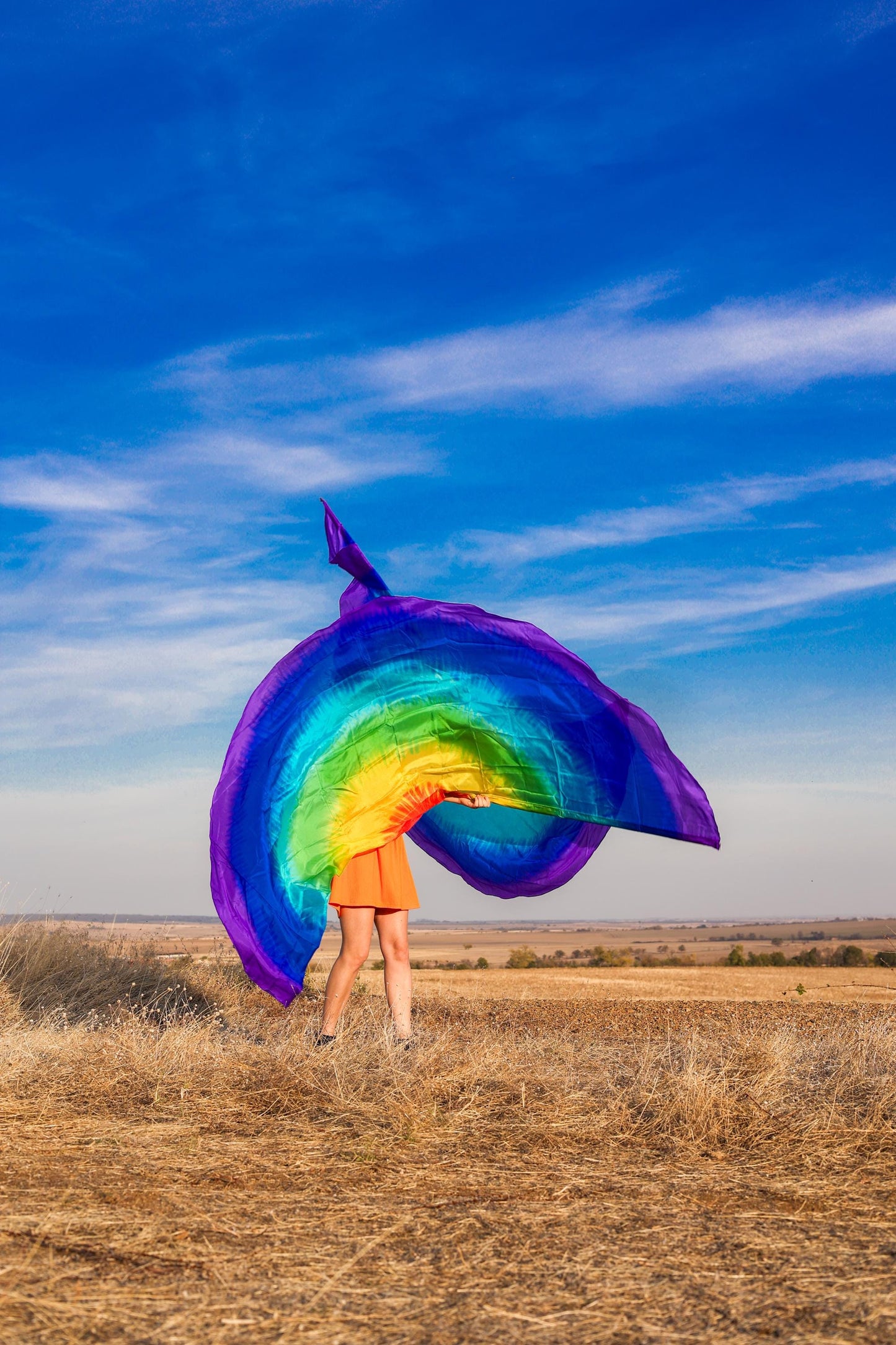 Pair Gigant Silk Wing Flag half circle