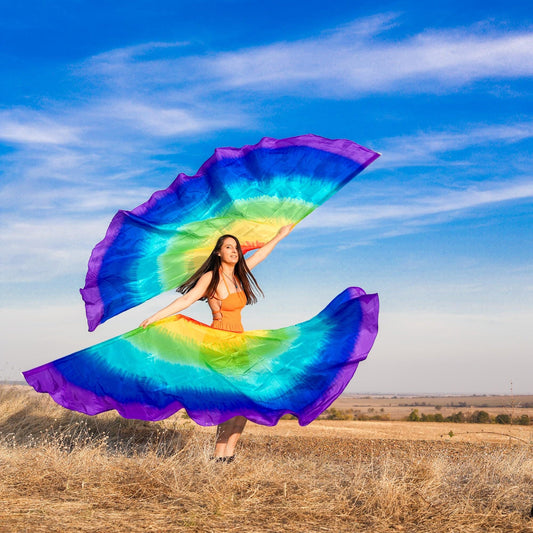 Pair Gigant Silk Wing Flag half circle